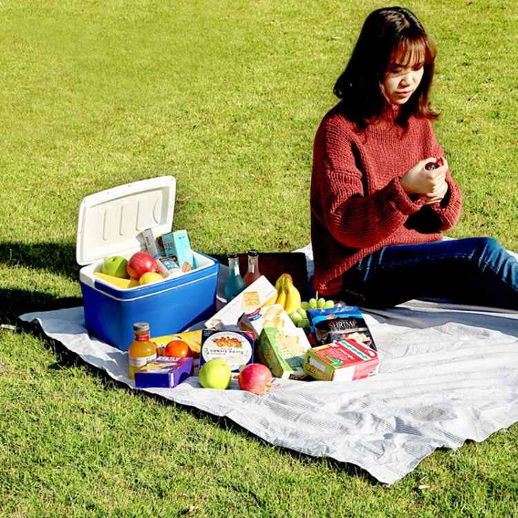 Car Portable Mini 6L EPS Incubator Box