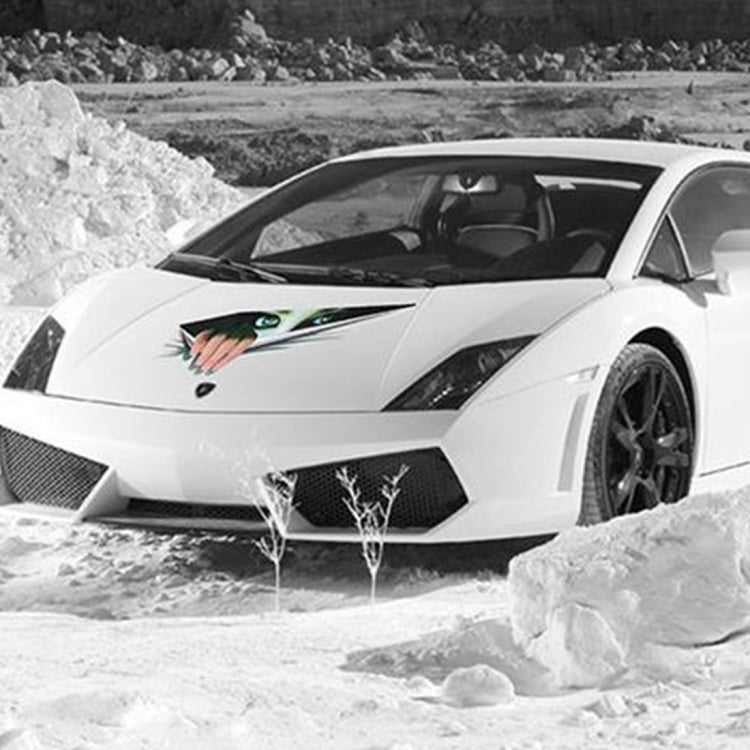 3D Characteristic Digital Simulation Horrible Style Car Paper Sticker, Exaggerated Effection 11, Exaggerated Effection 12, Exaggerated Effection 13