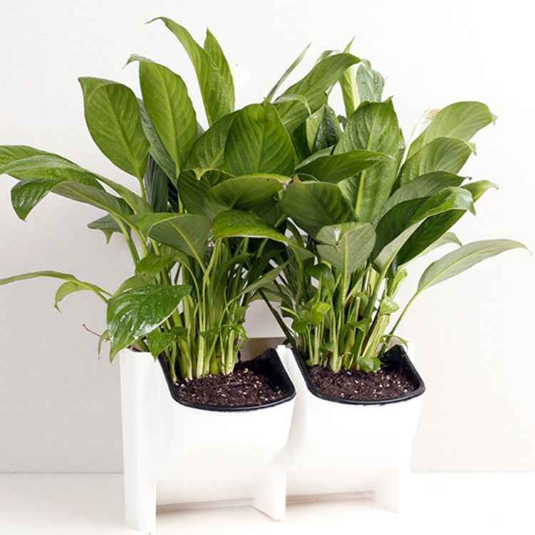 PP Planter Flower Pot Wall Hanging Garden Hanging Stackable Garden Supplies