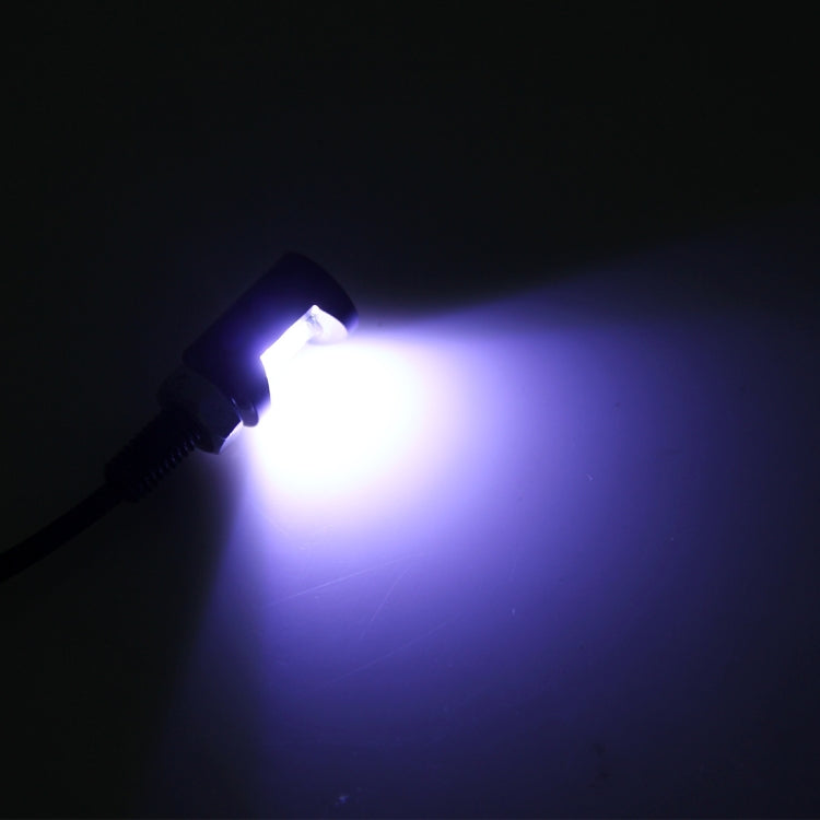 2 PCS 2W 100 LM 6500K Car License Plate Light with 2 SMD-5630 Lamps, DC 12V