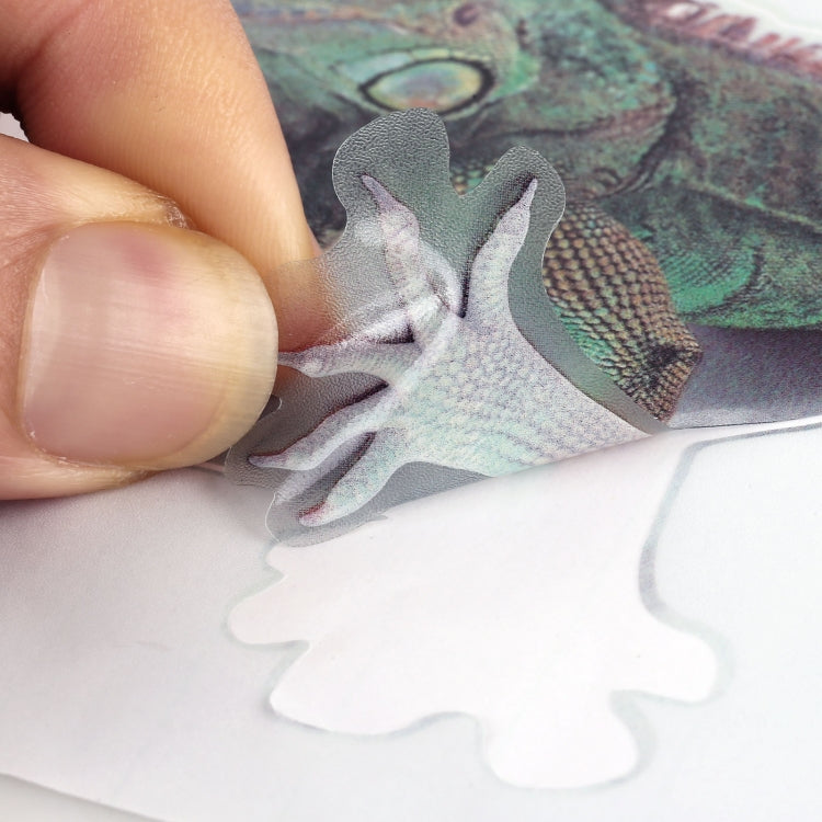 A19 Animal Pattern Car Body Random Stickers, A19