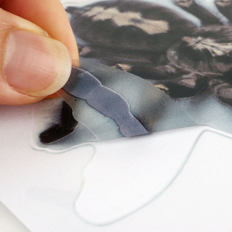 A20 Animal Pattern Car Body Random Stickers, A20