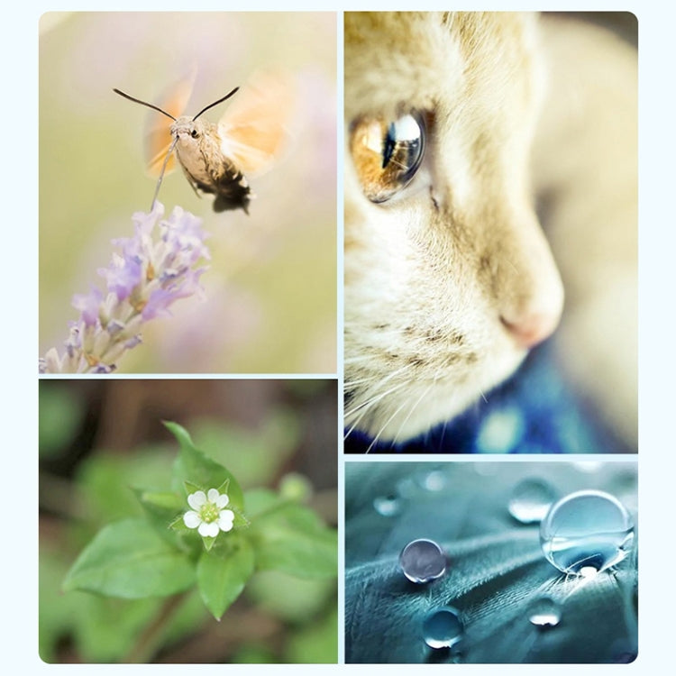 RUIGPRO for GoPro HERO 7/6 /5 Professional 52mm CPL Lens Filter with Filter Adapter Ring & Lens Cap