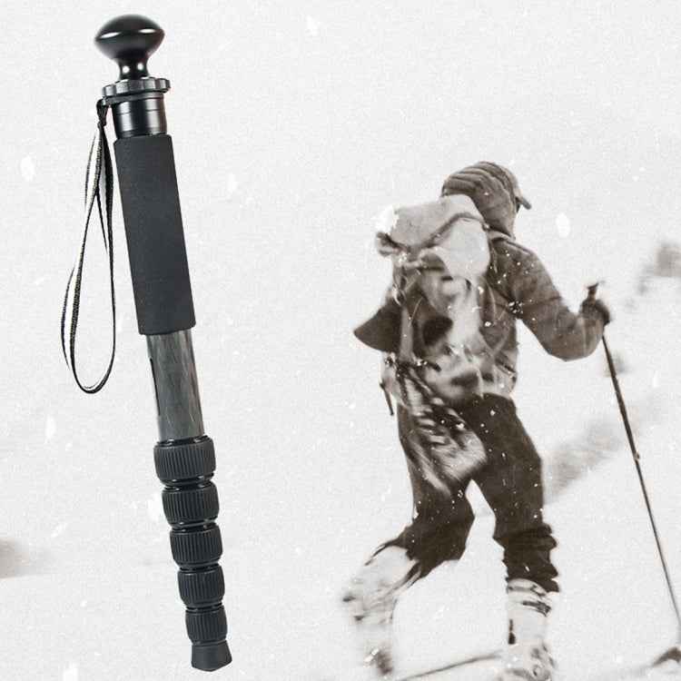 BEXIN P306C Portable Travel Outdoor DSLR Camera Carbon Fiber Monopod Holder