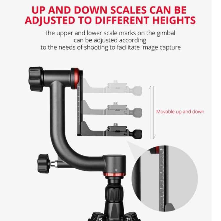 YELANGU A201 360 Degree Horizontal Gimbal Tripod Head for DV and SLR Cameras