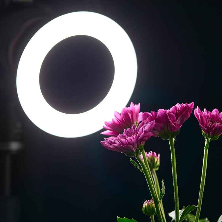 Godox Ring72 Macro Ring 48 LED Flash Light with 8 Different Size Adapter Rings