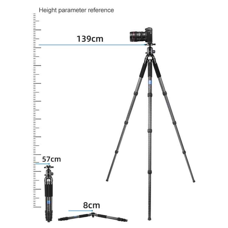 BEXIN RC294 Portable Collapsible Carbon Fiber Camera Tripod with K44 Panoramic BallHead