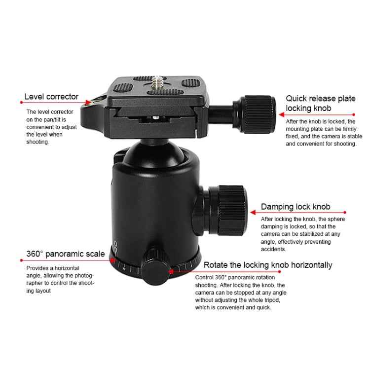 TRIOPO T226 Adjustable Portable Aluminum Alloy Tripod with D-0 Ball Head for SLR Camera