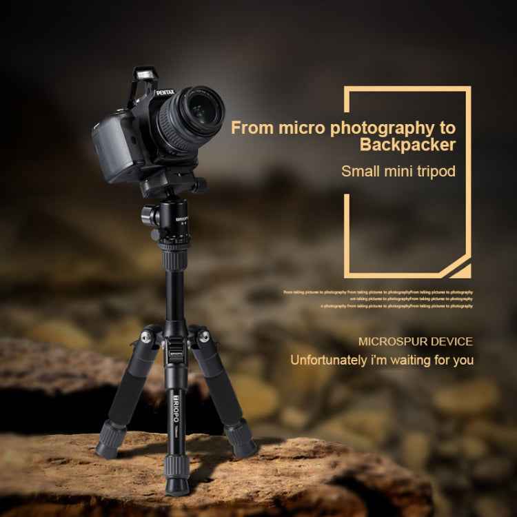 TRIOPO T226 Adjustable Portable Aluminum Alloy Tripod with D-0 Ball Head for SLR Camera