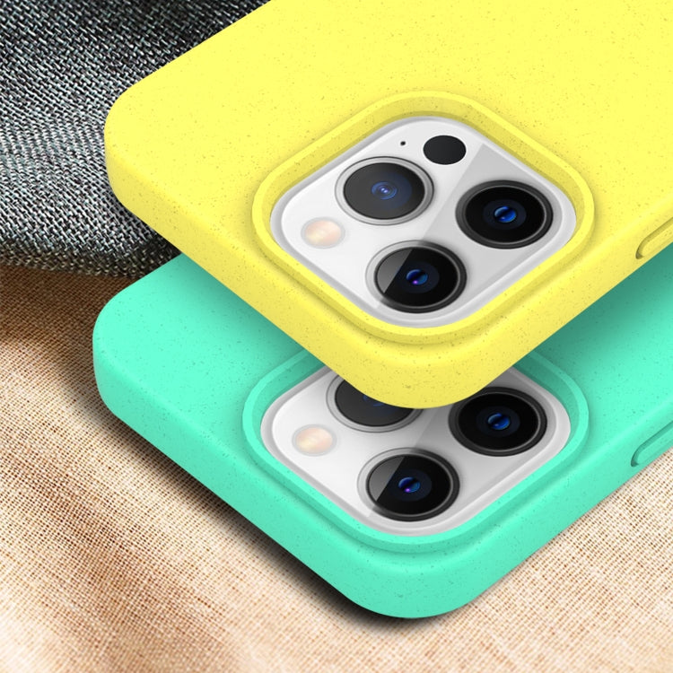 Starry Series Shockproof Straw Material + TPU Protective Case, For iPhone 13, For iPhone 13 mini, For iPhone 13 Pro Max, For iPhone 13 Pro