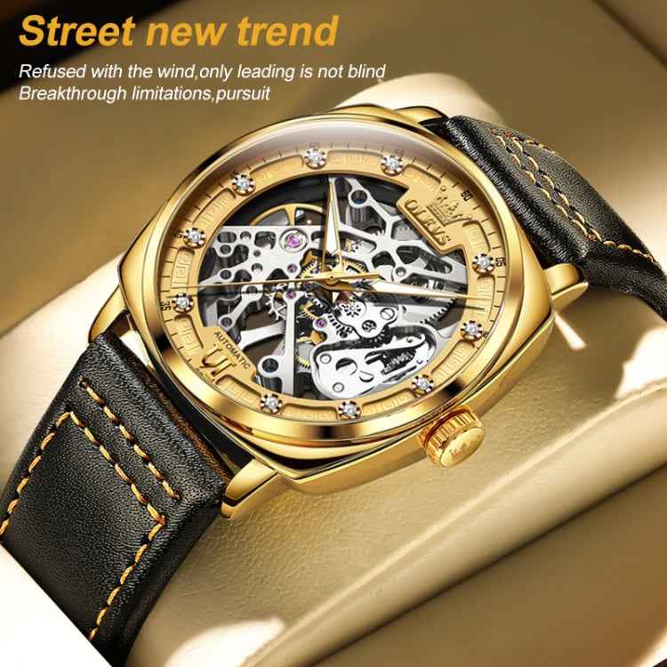 OLEVS 6651 Men Luminous Waterproof Hollow Mechanical Watch