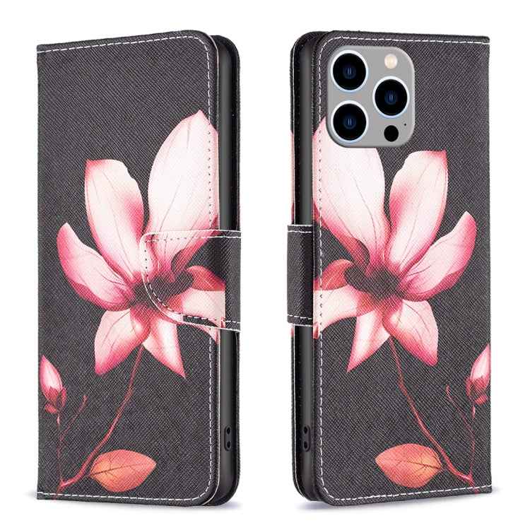 Colored Drawing Pattern Flip Leather Phone Case
