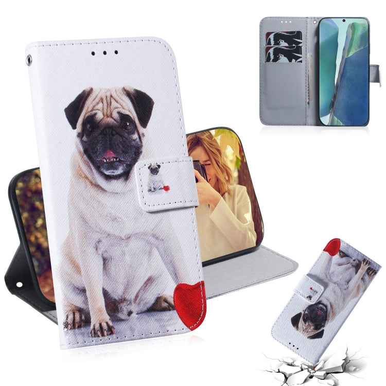 Coloured Drawing Horizontal Flip Leather Case, with Holder & Card Slots & Wallet, For Samsung Galaxy Note 20, For Samsung Galaxy Note 20 Ultra