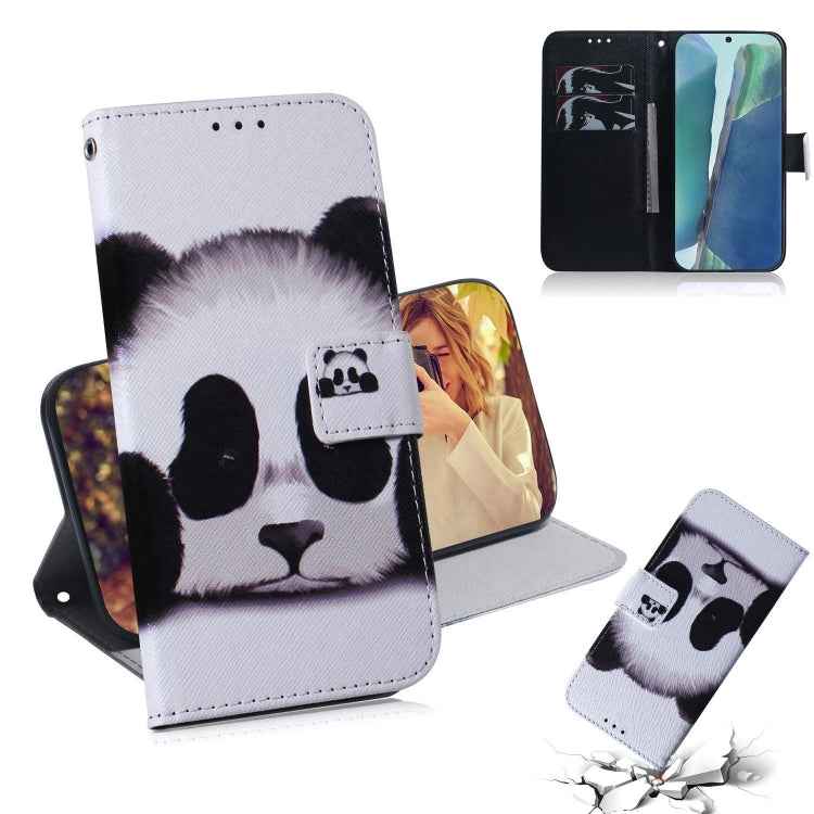 Coloured Drawing Horizontal Flip Leather Case, with Holder & Card Slots & Wallet, For Samsung Galaxy Note 20, For Samsung Galaxy Note 20 Ultra