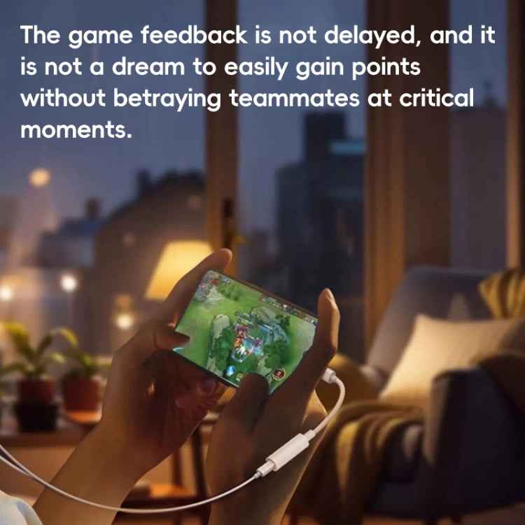 Type-C to 8 Pin / 3.5mm Audio Adapter Cable