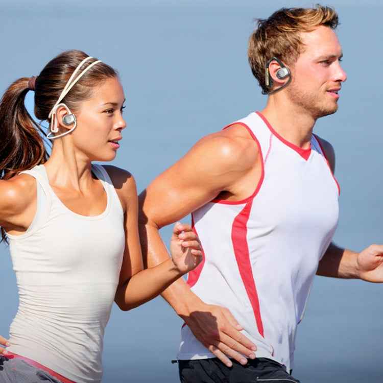 WEKOME Beluga G1 PhanWing Open-ear True Wireless Stereo Bluetooth Earphones