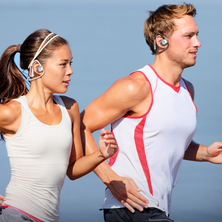 WEKOME Beluga G1 PhanWing Open-ear True Wireless Stereo Bluetooth Earphones