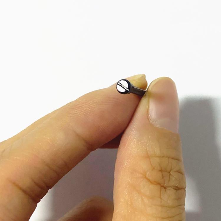 2pcs/Pair Flathead Watch Band Replacement Lug Rod with Screwdriver