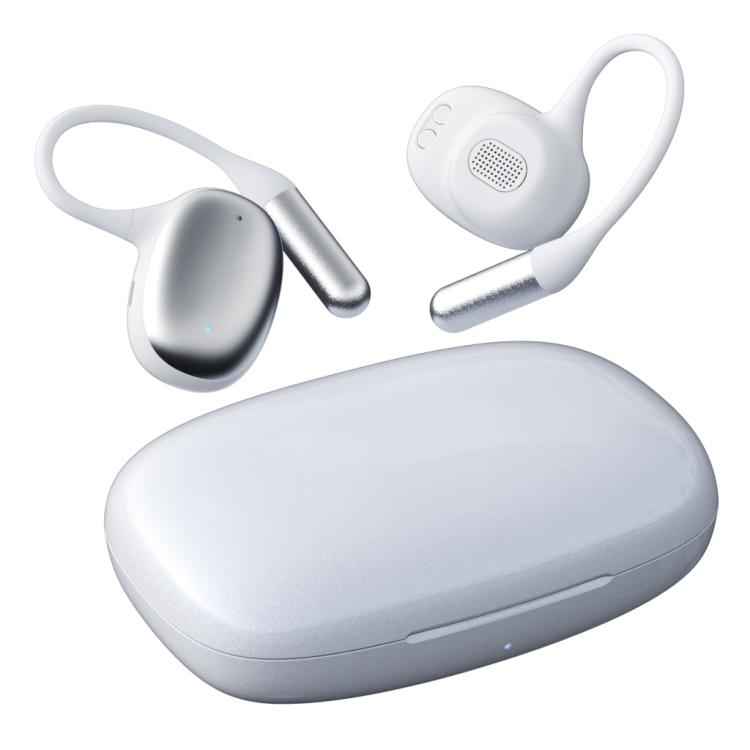 F20 Ear-Hook ANC Noise Reduction BT 5.4 IPX5 Wireless Earphones