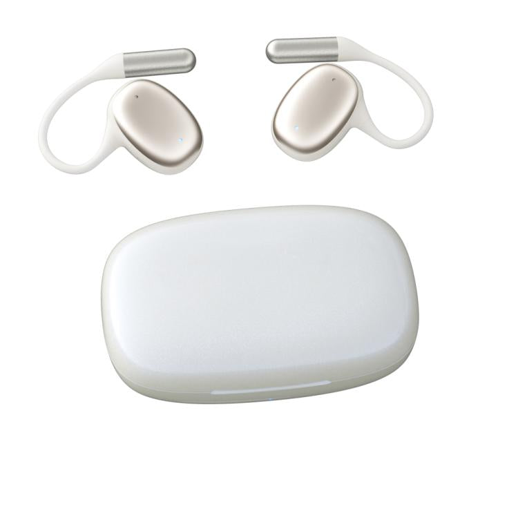 F20 Ear-Hook ANC Noise Reduction BT 5.4 IPX5 Wireless Earphones