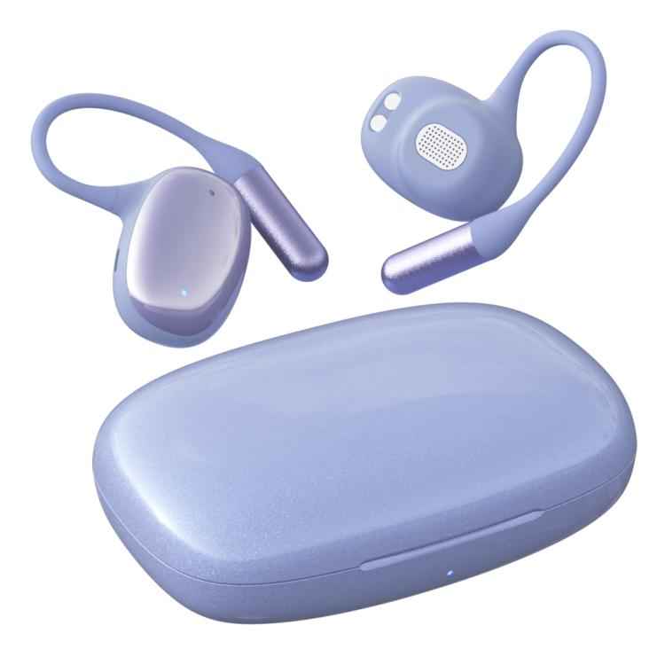F20 Ear-Hook ANC Noise Reduction BT 5.4 IPX5 Wireless Earphones