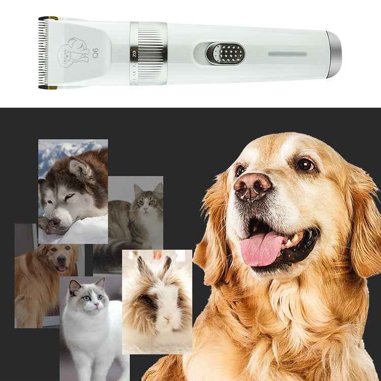 Q6 USB Charging Electric Pet Shaver with Four Combs