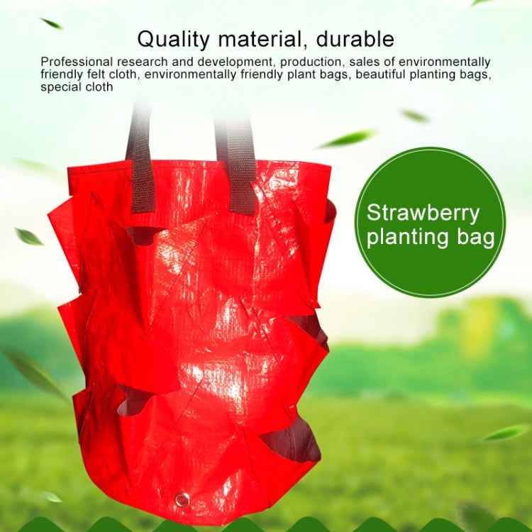 CMD-3 3 Gallon Hanging Strawberry PE Planting Bag Horticultural Flower Planting Bag