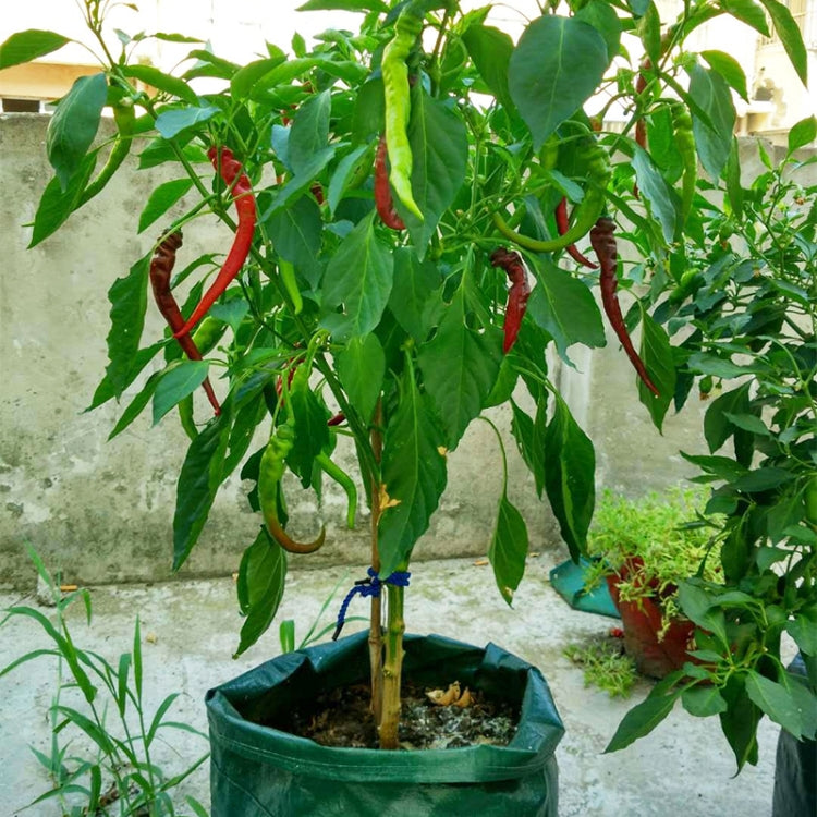 3 Pockets 18L / 5 Gallon Non-woven Felt Strawberry Planting Bag, Size: 23X28cm, Size: 23X28cm