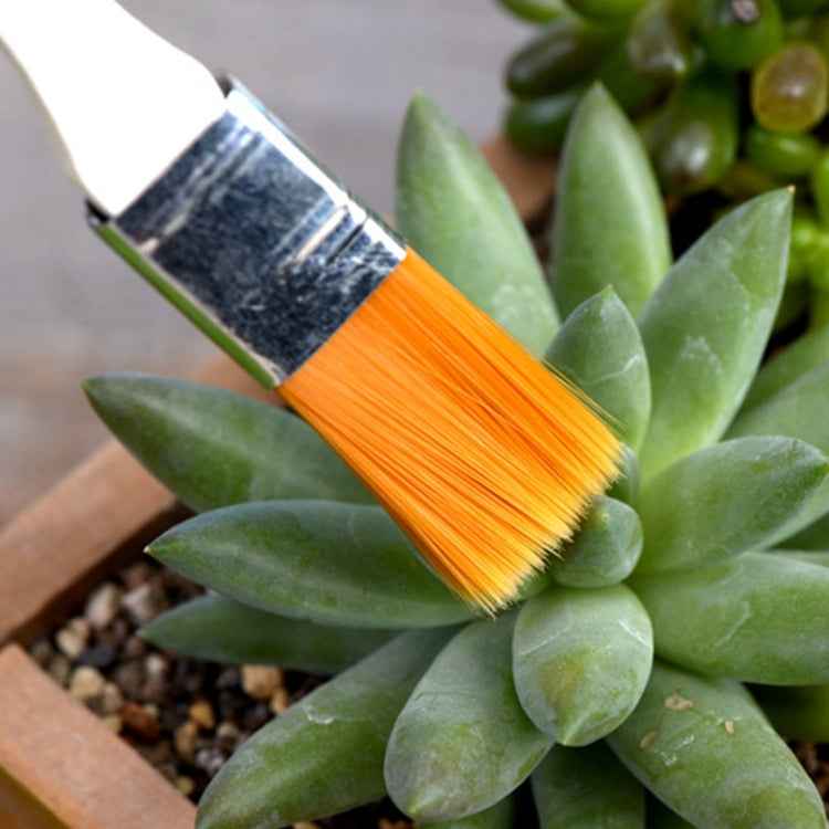 2 PCS Horticultural Plant Brushes Debris Brush Dust Brushes Multi-meat Plant Brushes Micro-landscape Moss Household Small Brush Tools