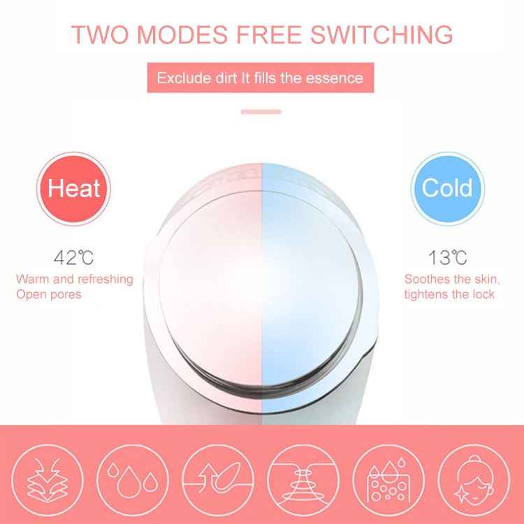 Multi-functional Household Beauty and Body Apparatus Facial Ion Importer