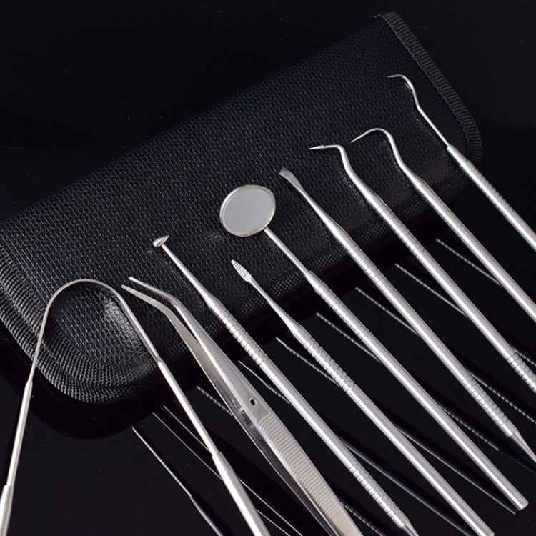 9 In 1 Stainless Steel Dentist Tools Set