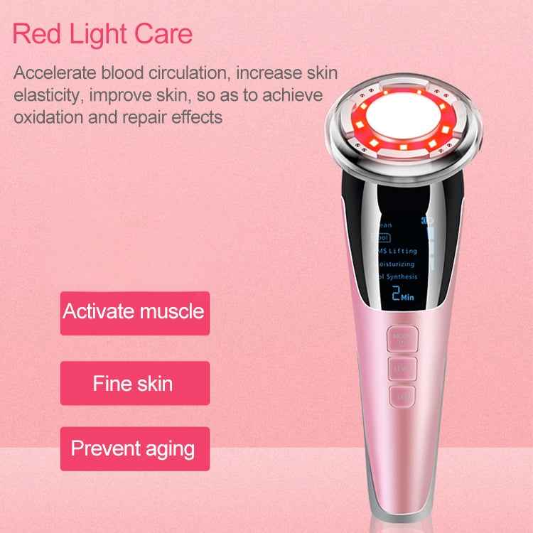 BLK-D818 Facial Beauty Instrument Hot and Cold Color Skin Rejuvenation Instrument EMS Micro Current Beauty Introduction Instrument