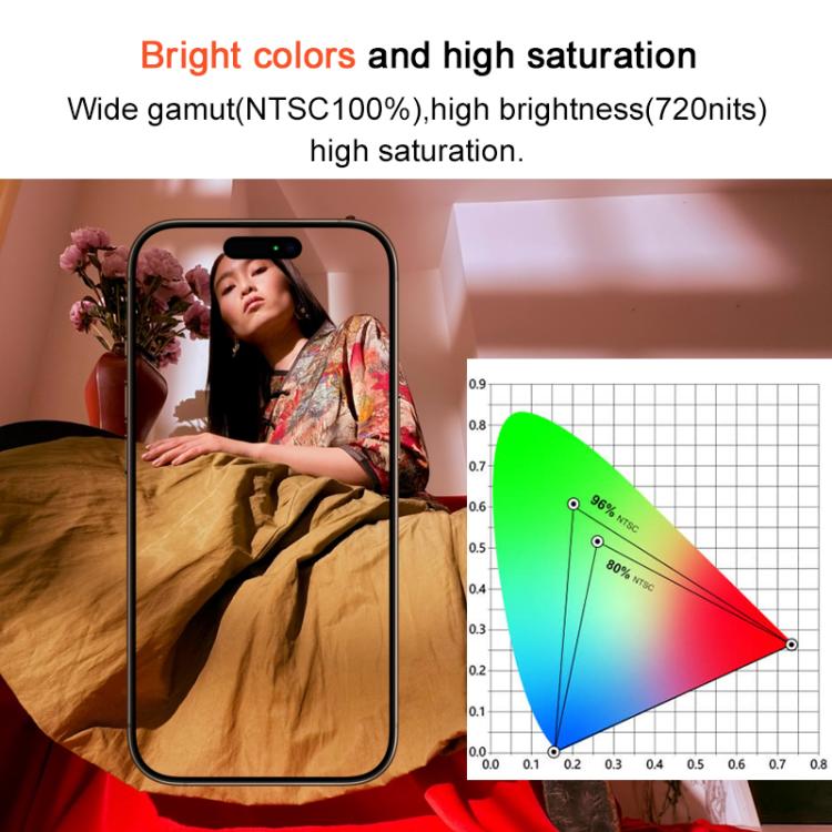 Ruiju Soft OLED Screen For iPhone 14 Pro Max