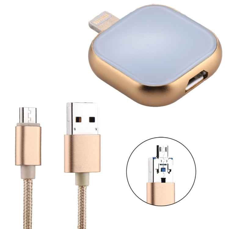 RQW-18S 8 Pin 64GB Multi-functional Flash Disk Drive with USB / Micro USB to Micro USB Cable, RQW-18S Gold