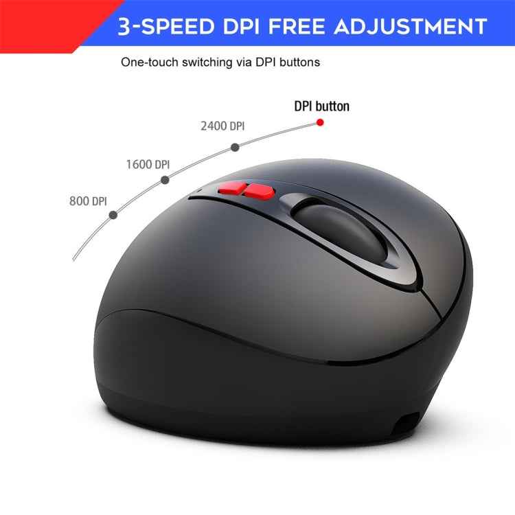 HXSJ T33 2.4GHz Ergonomic Optical Wireless Notebook PC Mouse