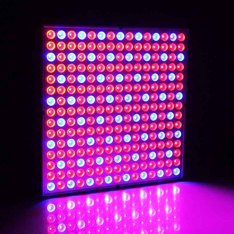 225 LEDs Greenhouse Light Aquarium Light, AC 85-265V