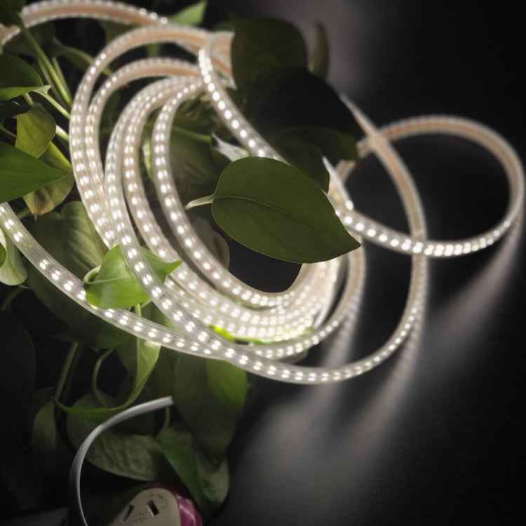 10m SMD 2835 1200 LEDs Strip Light, AC 220V-240V, EU Plug