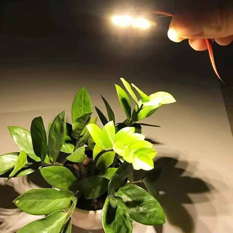 3W 6 LEDs SMD 5730 LED Module Lamp Ceiling Lighting Source, DC 9V Warm White Light