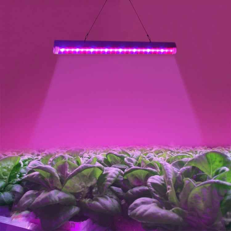 24 LEDs Greenhouse Light Aquarium Light