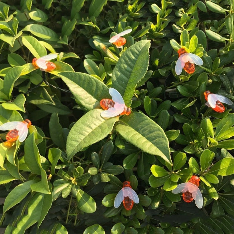 6.5m 30 LEDs Bee Solar Powered Warm White Outdoor Garden Decorative String Light Fairy Lamp with 100mA / 1.2V Solar Panel, 30 LEDs