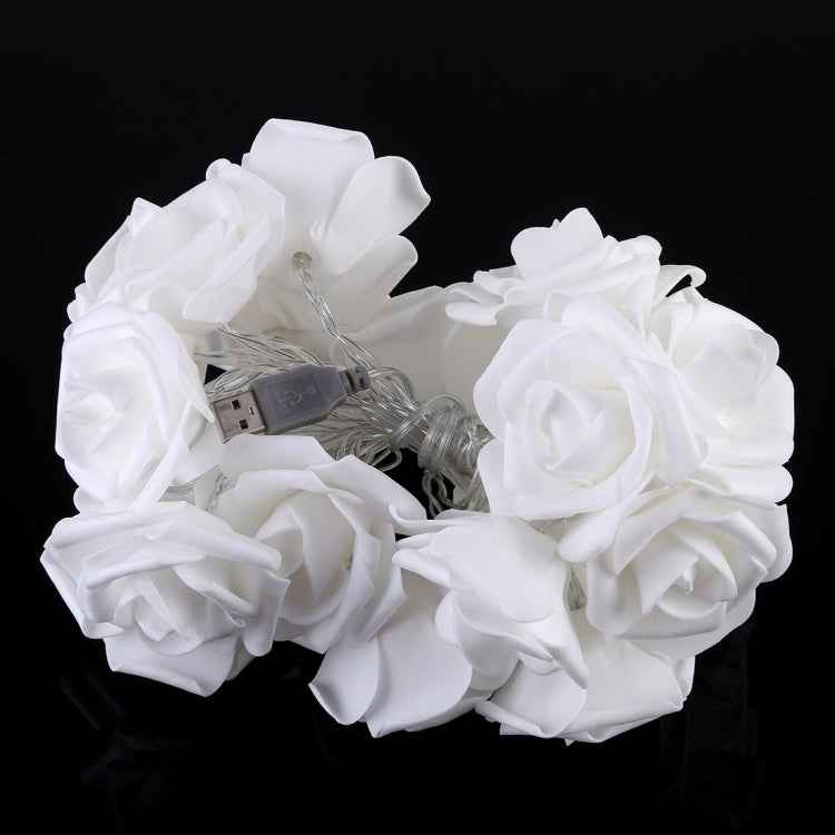 20 LEDs Teenage Style Warm Fairy Decorative Lamp for Christmas, Wedding, Bedroom, Rose