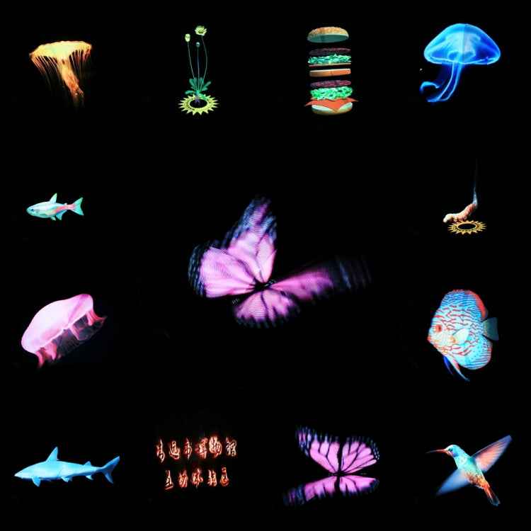 WiFi App Control, Display Resolution: 512 x 512 Pixels