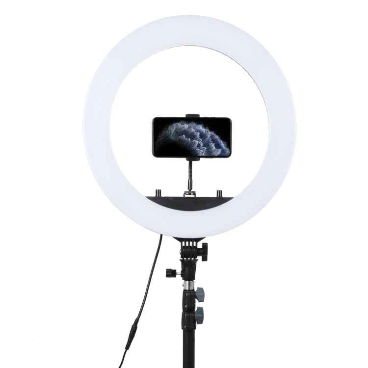 18 inch 55W Two-speed Dimmable Anchor Photography Self-timer LED Ring Fill-in Light with Tripod