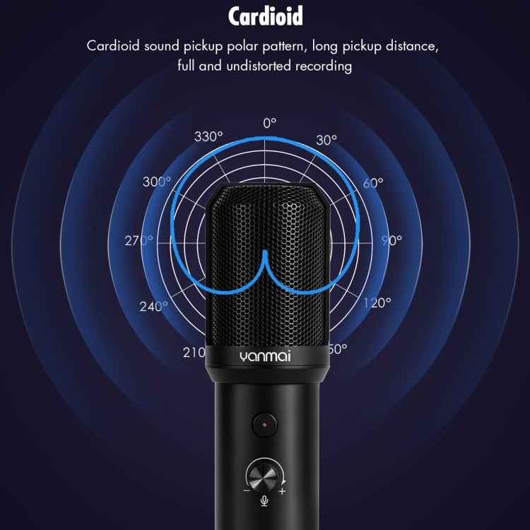 Yanmai Q10B USB Recording Microphone Kit