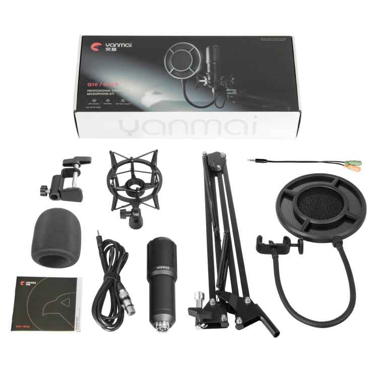Yanmai Q10 3.5mm Recording Microphone Kit