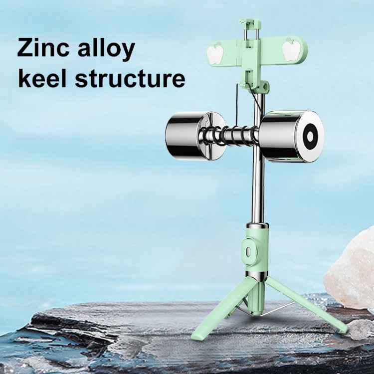 Bluetooth Remote Control Dual Fill Light Tripod Selfie Stick