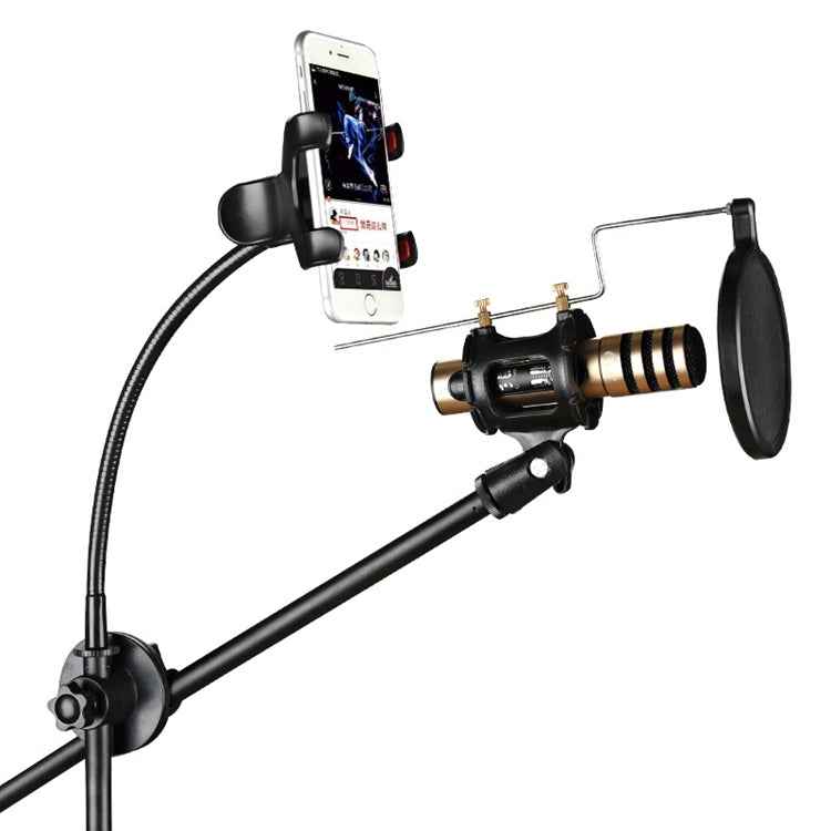 RODD NB-108 Karaoke Phone Microphone Tripod