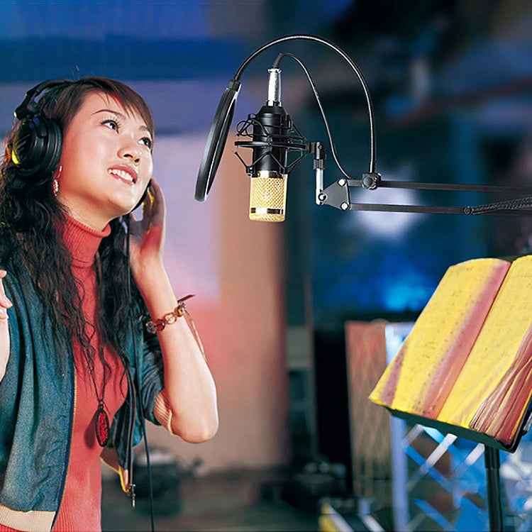 Compatible with PC / Mac for Live Broadcast Show, KTV, etc.