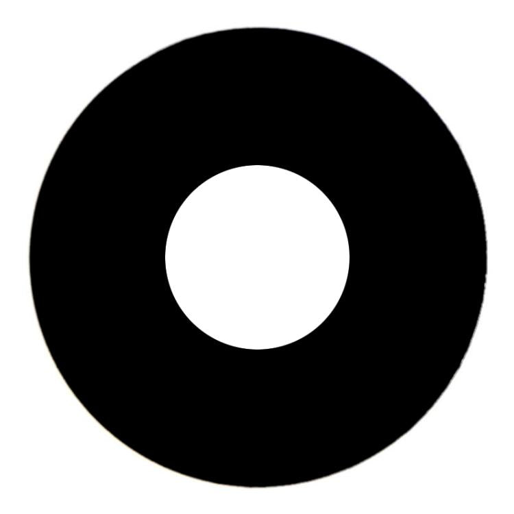 For iPad mini 6 2021 Back Camera Lens