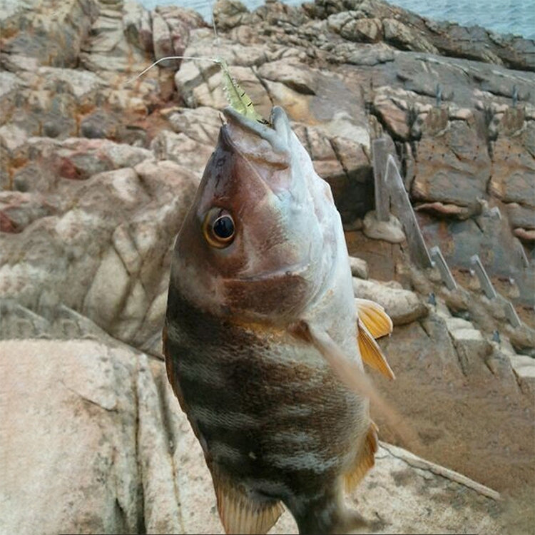 10 PCS 4cm Fishing Soft Bait Lures Popper Poper Baits